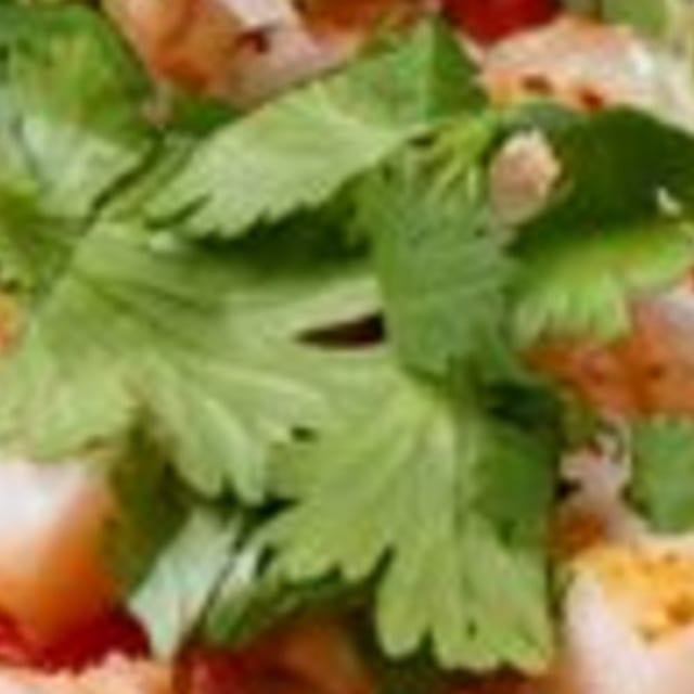 Side Cilantro.